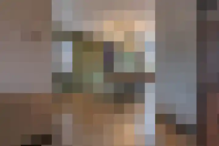 Torensingel 3 A Puiflijk thumbnail 11