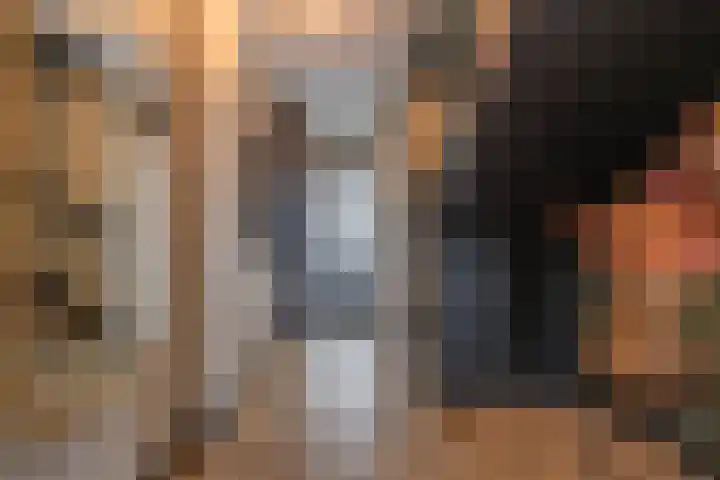 Torensingel 3 A Puiflijk thumbnail 29