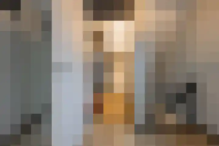 Torensingel 3 A Puiflijk thumbnail 32