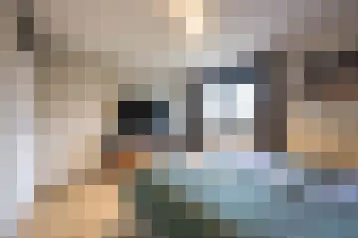Torensingel 3 A Puiflijk thumbnail 35