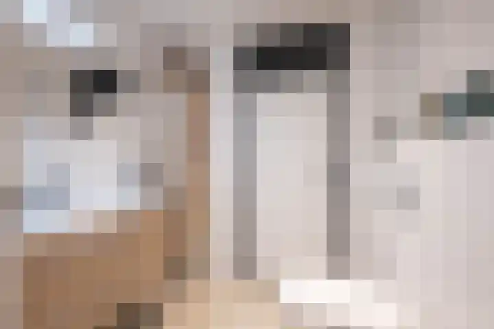 Torensingel 3 A Puiflijk thumbnail 37