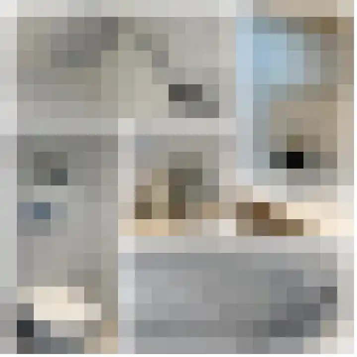 Torensingel 3 A Puiflijk thumbnail 39