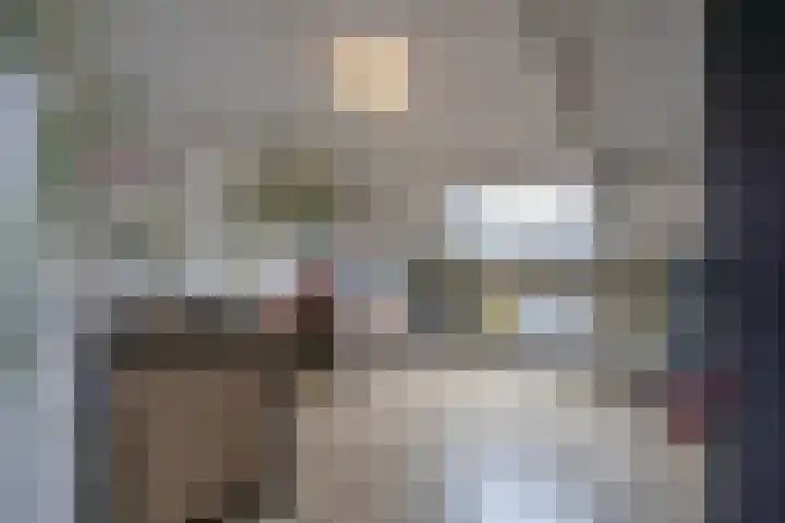 Torensingel 3 A Puiflijk thumbnail 40