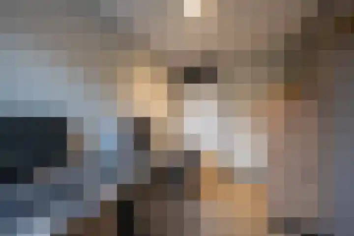 Torensingel 3 A Puiflijk thumbnail 44