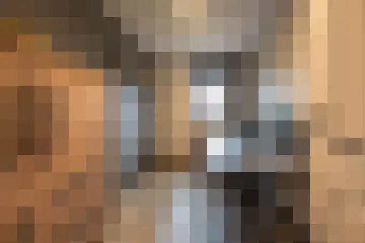 Torensingel 3 A Puiflijk thumbnail 45