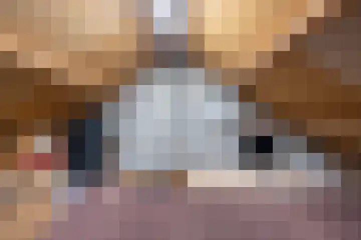 Torensingel 3 A Puiflijk thumbnail 46