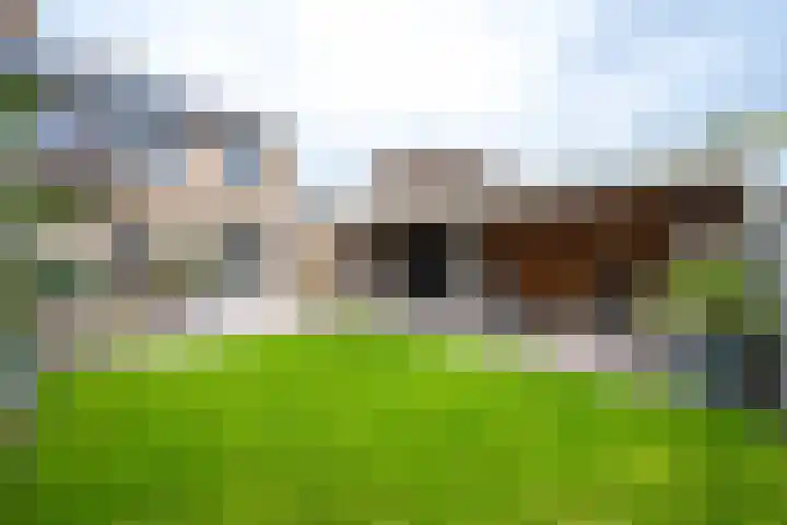 Torensingel 3 A Puiflijk thumbnail 49