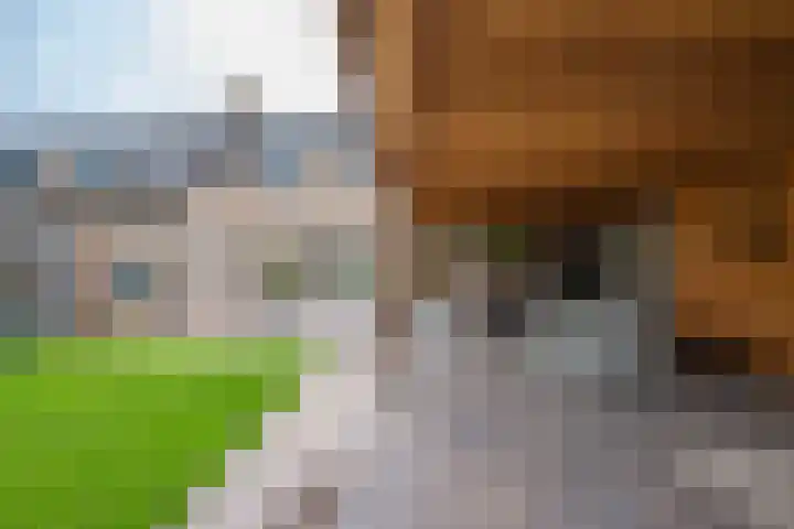 Torensingel 3 A Puiflijk thumbnail 53