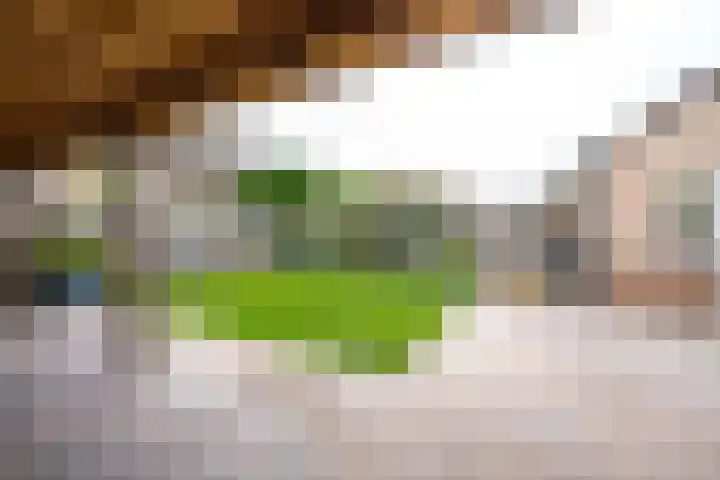 Torensingel 3 A Puiflijk thumbnail 55