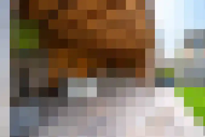 Torensingel 3 A Puiflijk thumbnail 56