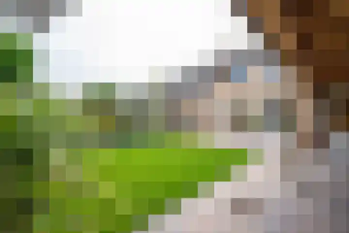 Torensingel 3 A Puiflijk thumbnail 57