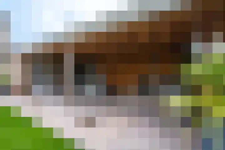 Torensingel 3 A Puiflijk thumbnail 60