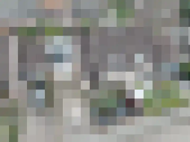 Torensingel 3 A Puiflijk thumbnail 64
