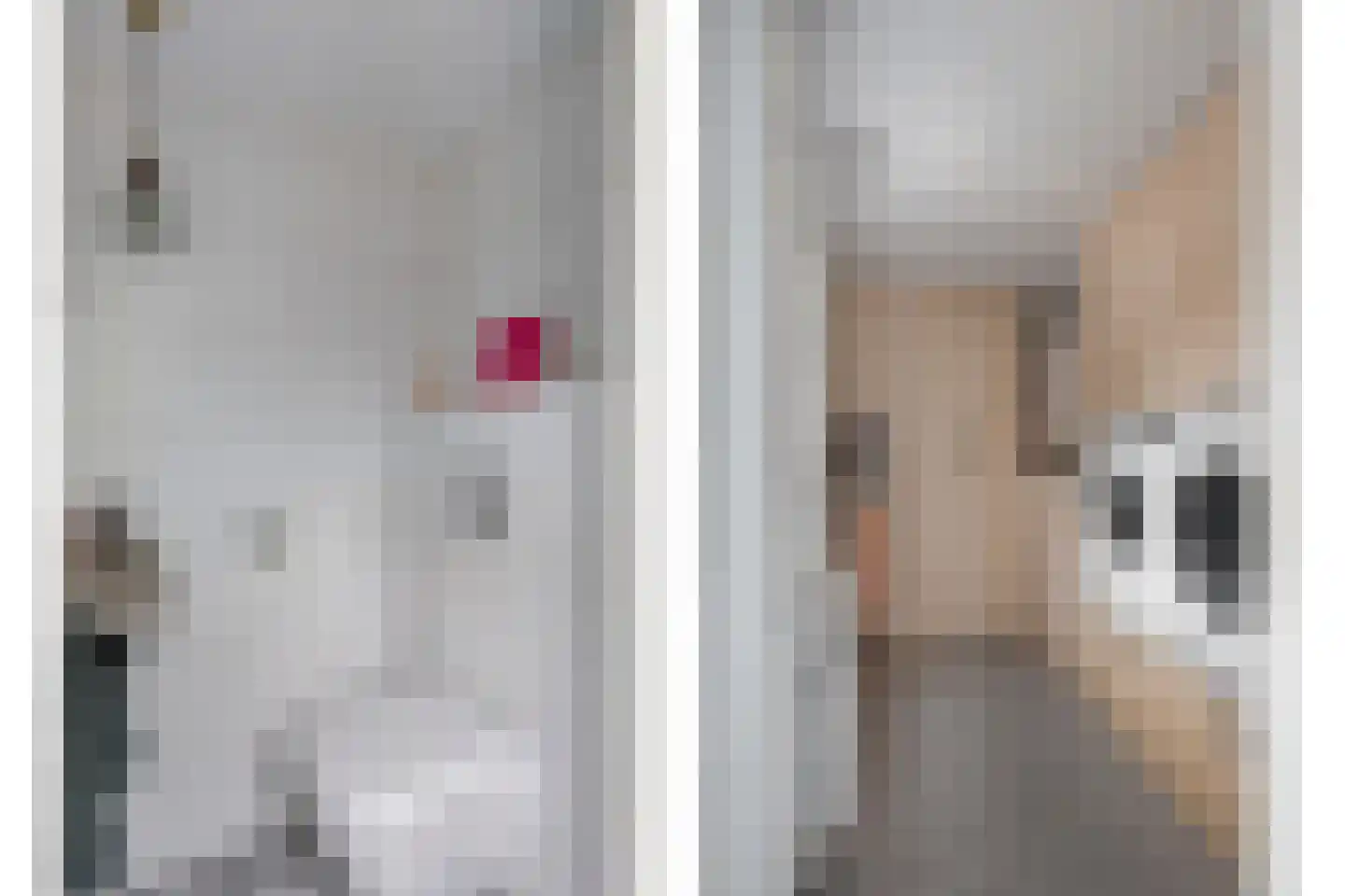 Torensingel 33 Puiflijk thumbnail 12