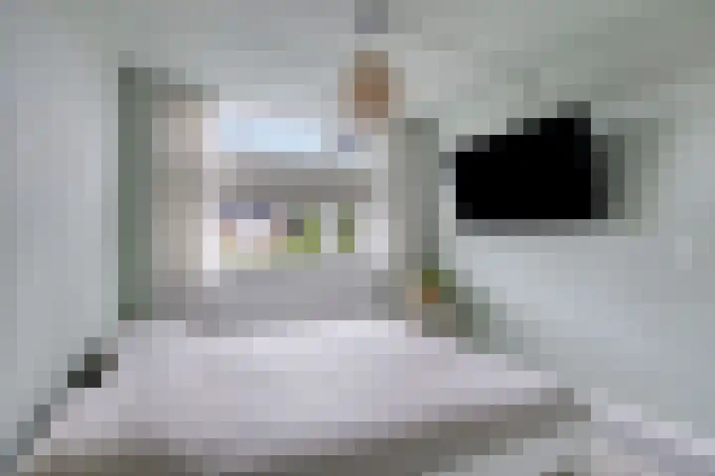 Torensingel 33 Puiflijk thumbnail 15