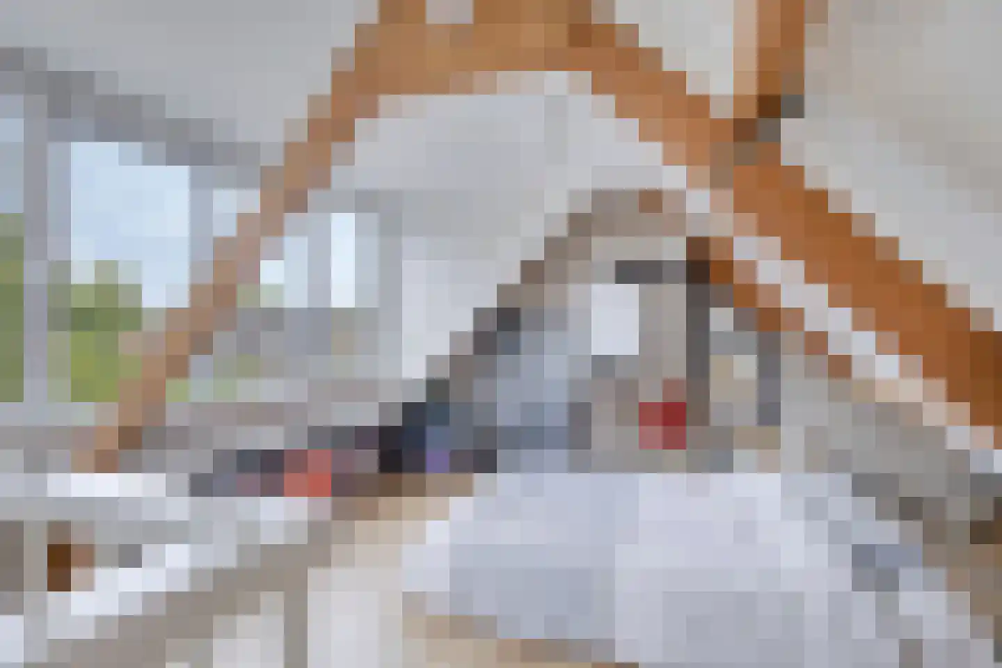 Torensingel 33 Puiflijk thumbnail 23