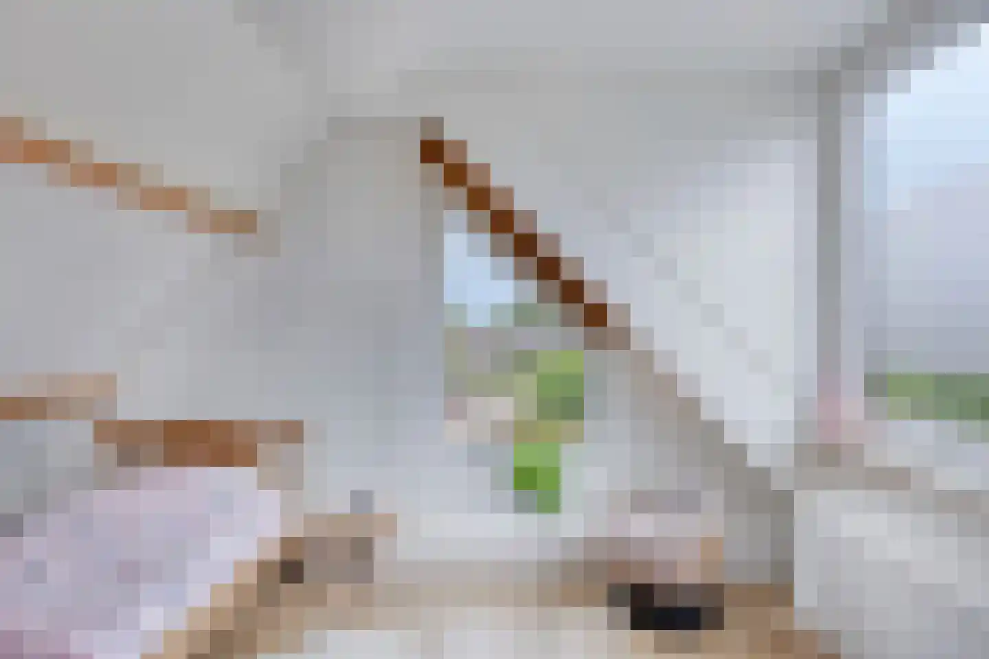 Torensingel 33 Puiflijk thumbnail 24