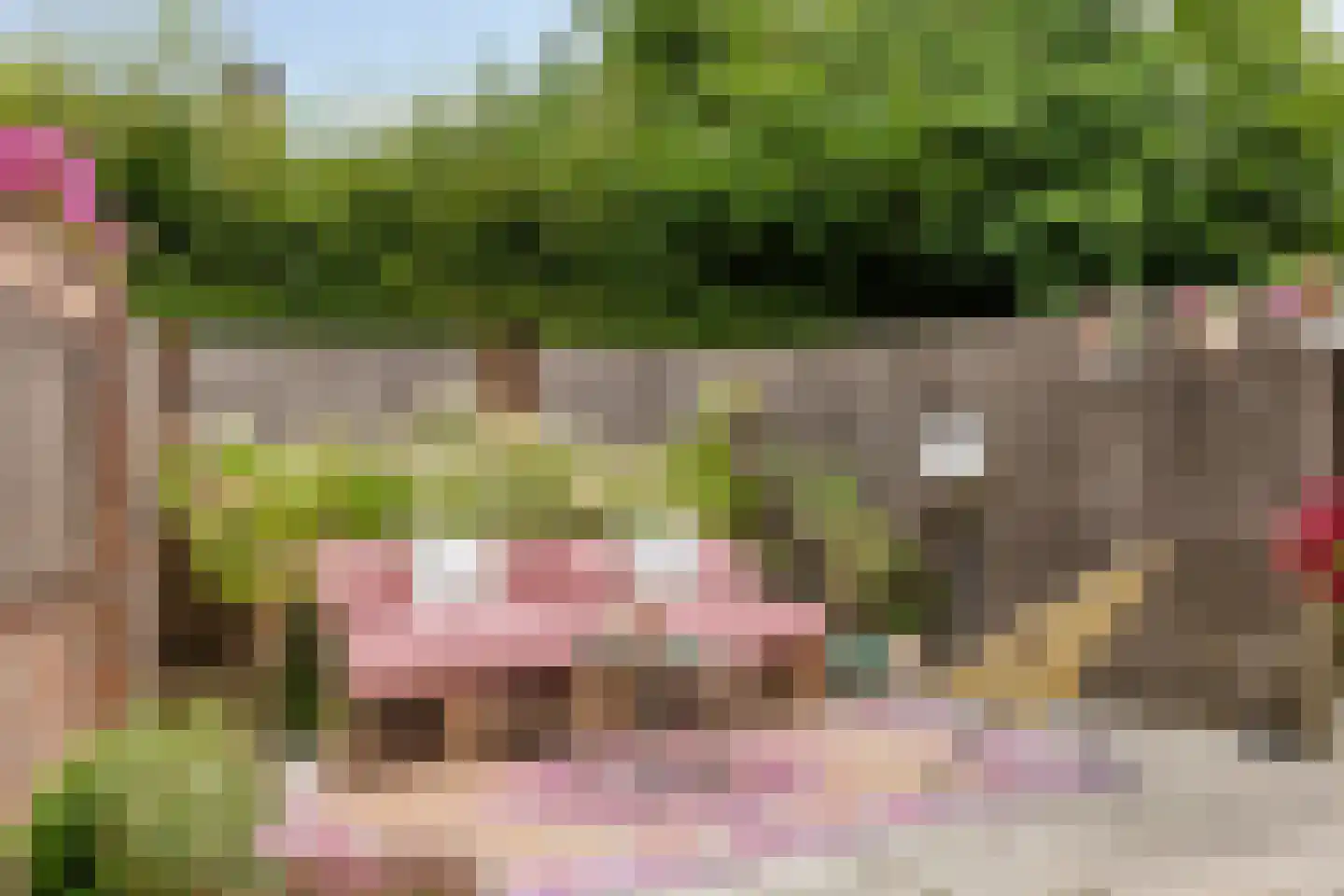 Torensingel 33 Puiflijk thumbnail 28