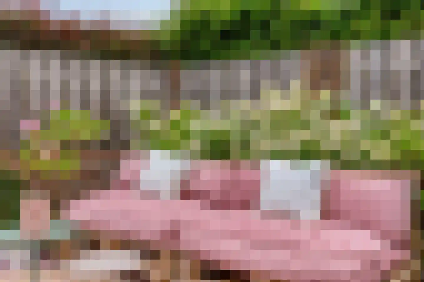 Torensingel 33 Puiflijk thumbnail 29