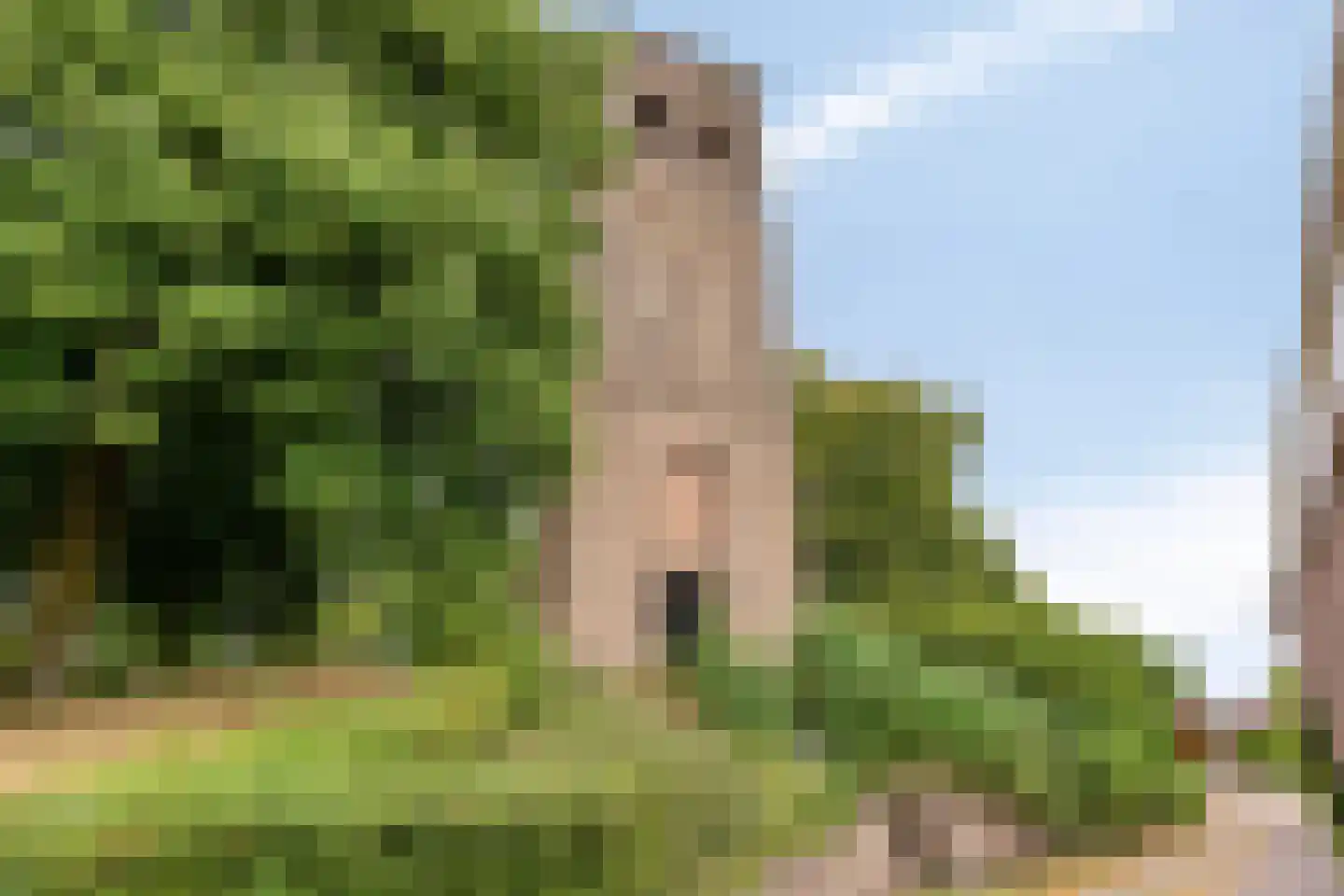 Torensingel 33 Puiflijk thumbnail 37