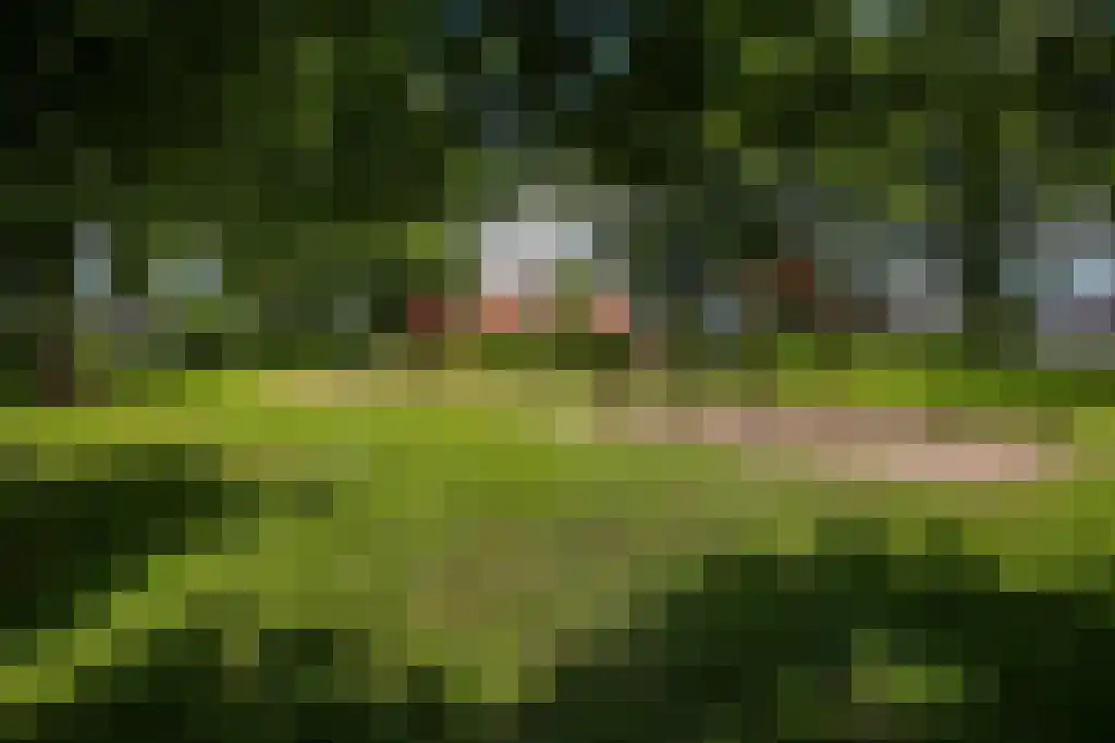 Torensingel 33 Puiflijk thumbnail 38