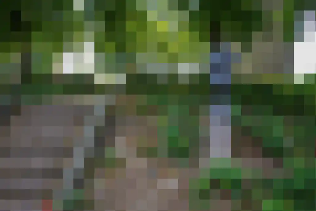 Torensingel 33 Puiflijk thumbnail 39