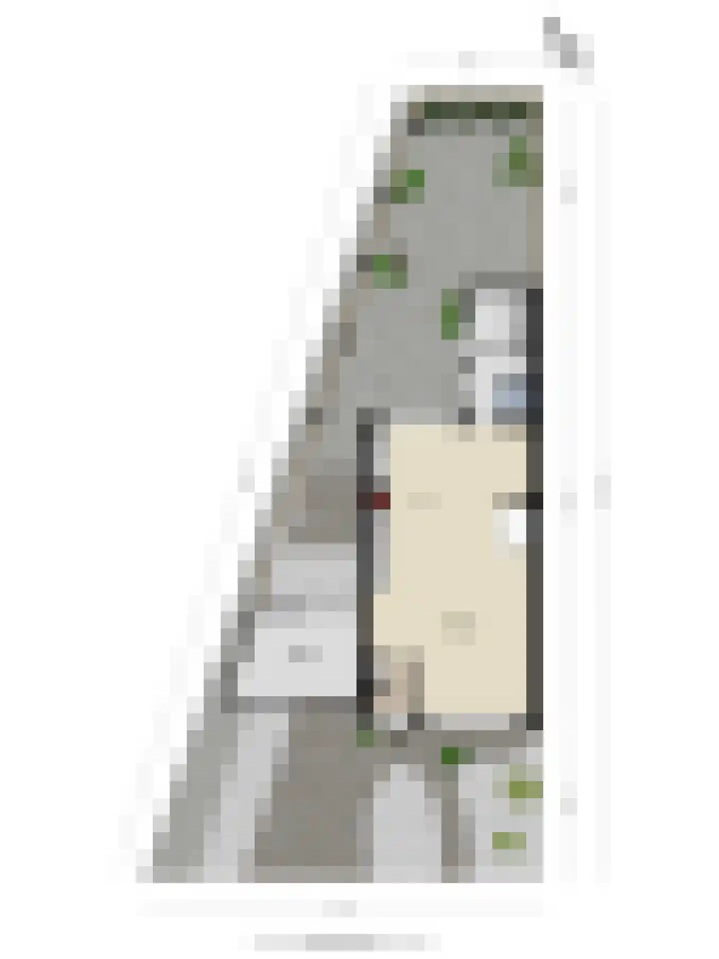 Torensingel 33 Puiflijk thumbnail 42