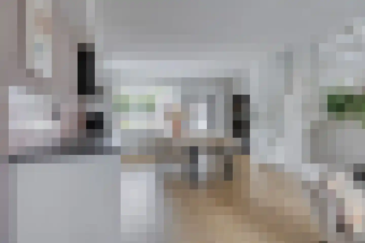 Torensingel 33 Puiflijk thumbnail 6
