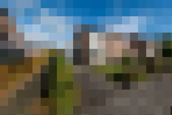 Torensmalaan 11 Roden thumbnail 10