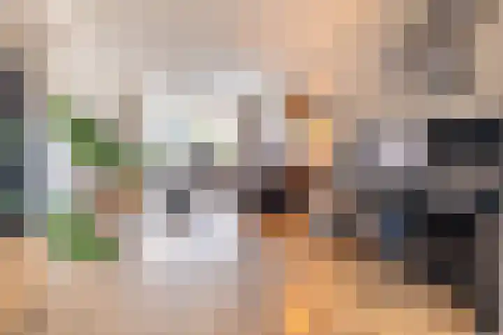 Torensmalaan 11 Roden thumbnail 16