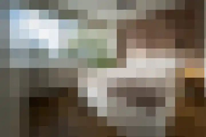 Torensmalaan 11 Roden thumbnail 28