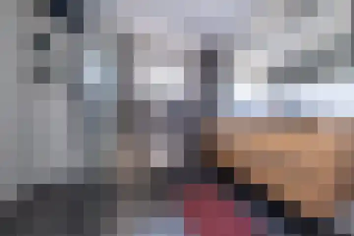 Torensmalaan 11 Roden thumbnail 32