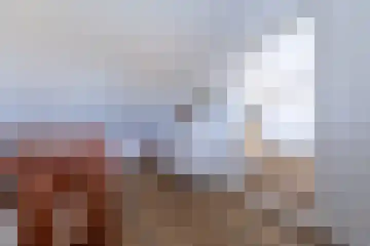Torensmalaan 11 Roden thumbnail 34