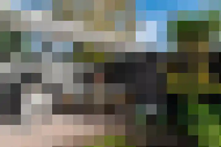 Torensmalaan 11 Roden thumbnail 42