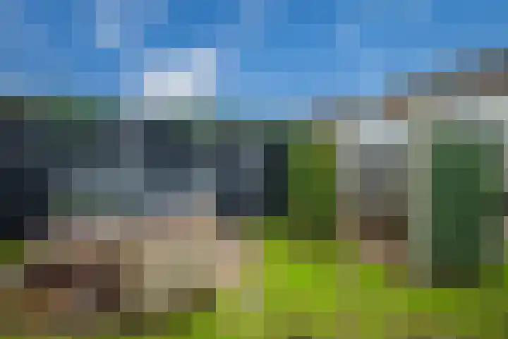 Torensmalaan 11 Roden thumbnail 45