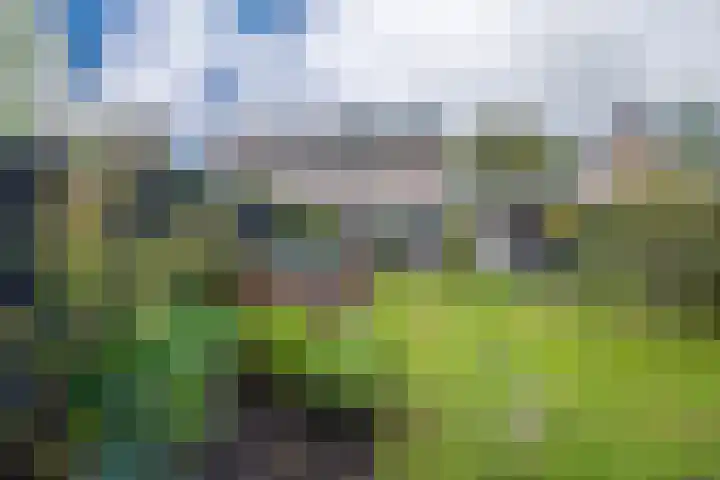 Torensmalaan 11 Roden thumbnail 46