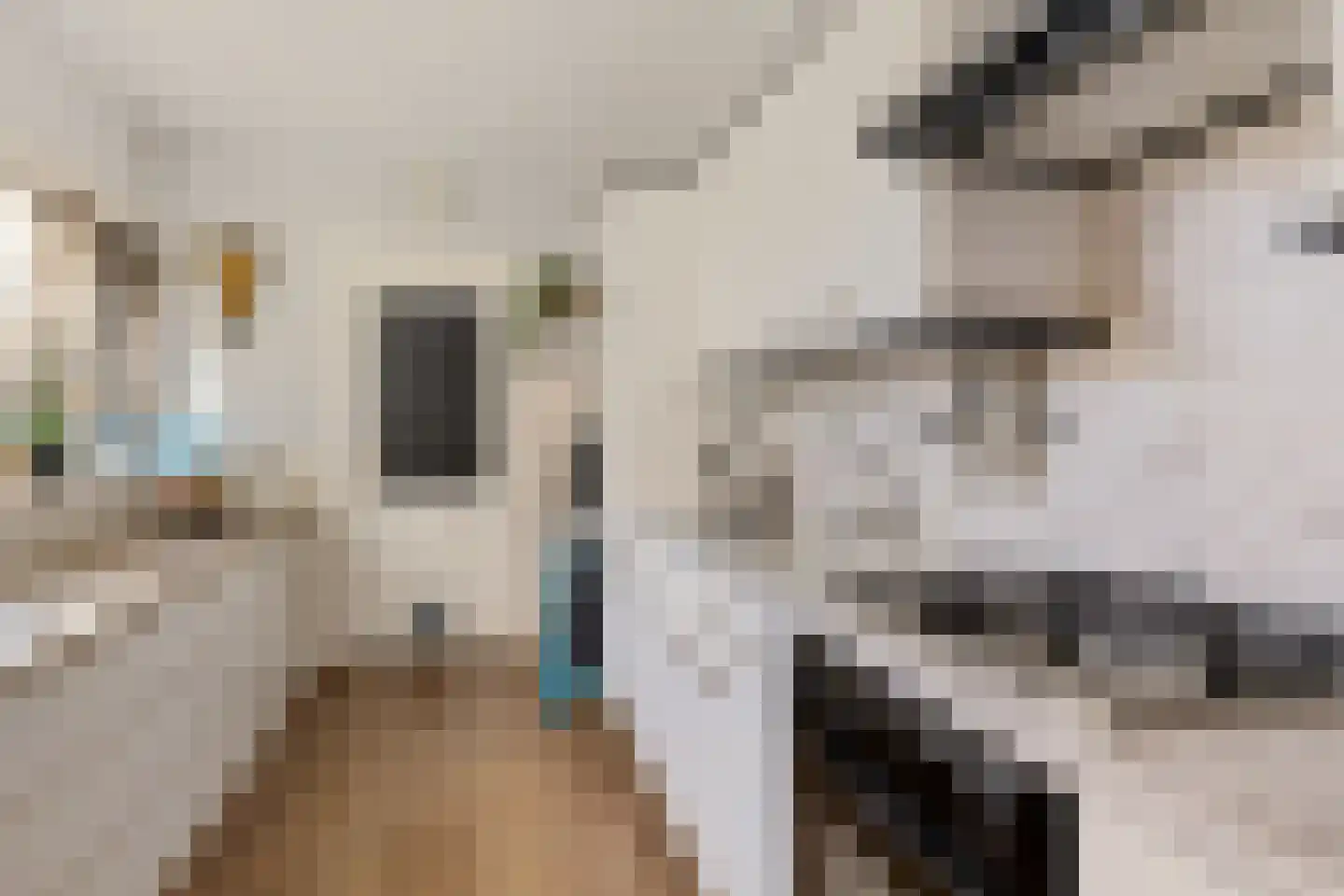 Torensmalaan 20 Roden thumbnail 10