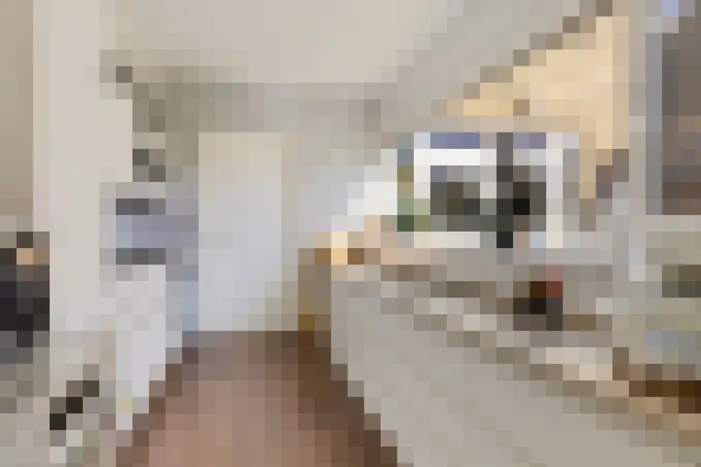 Torensmalaan 20 Roden thumbnail 11