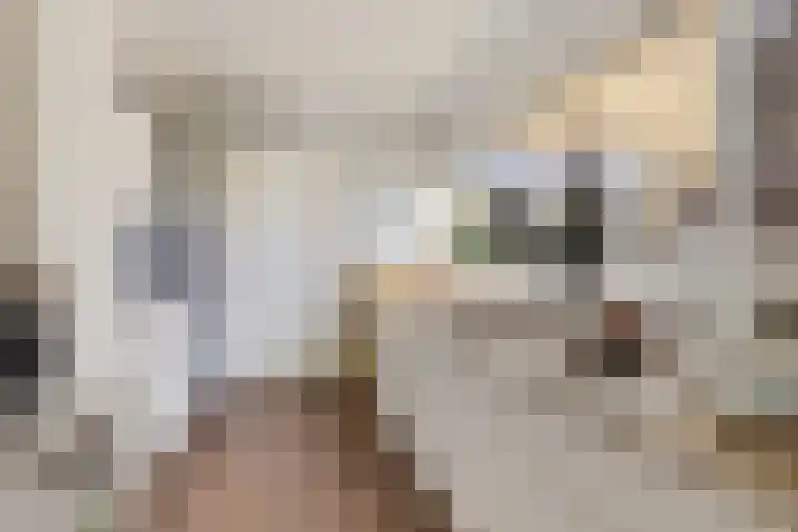 Torensmalaan 20 Roden thumbnail 11