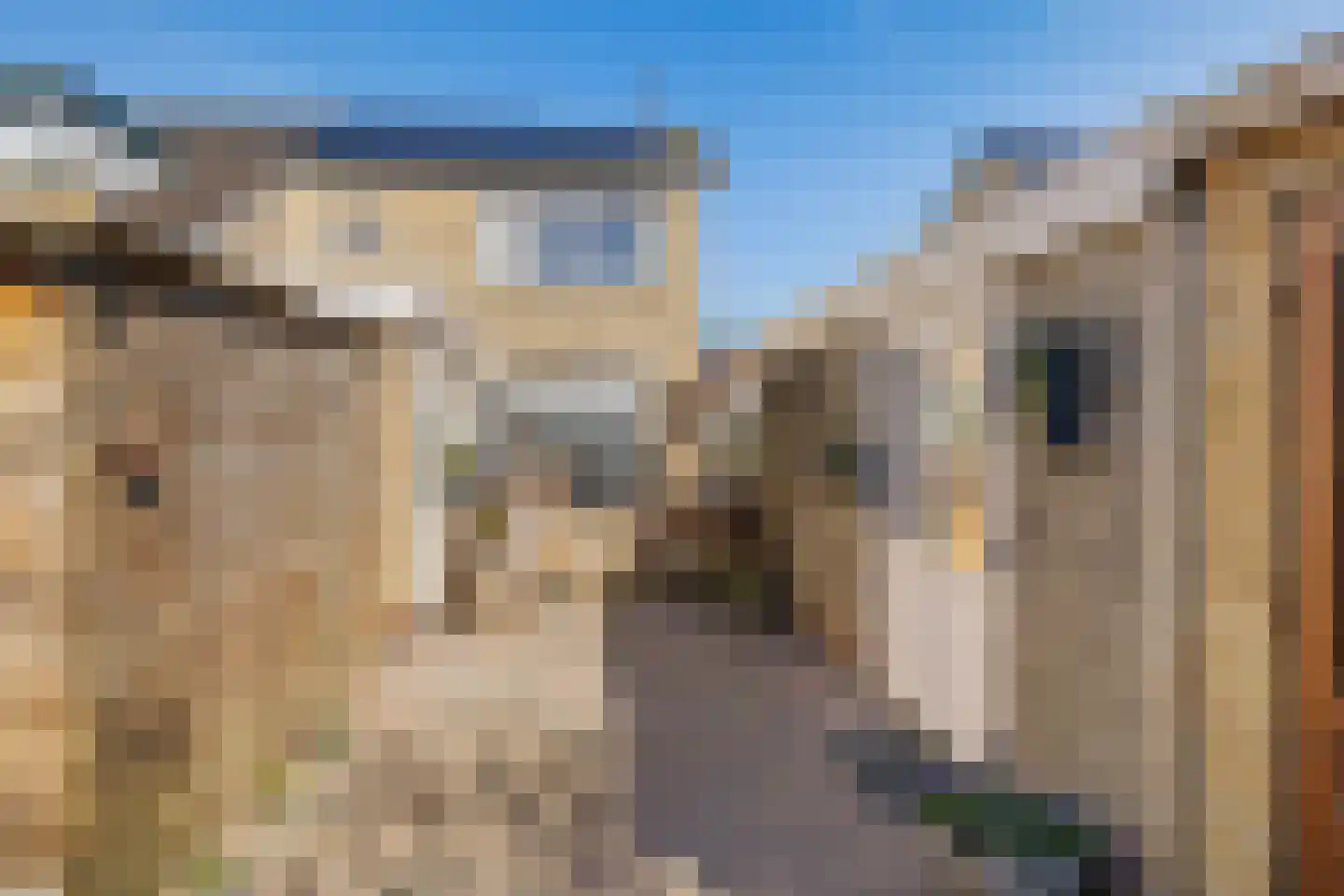 Torensmalaan 20 Roden thumbnail 23