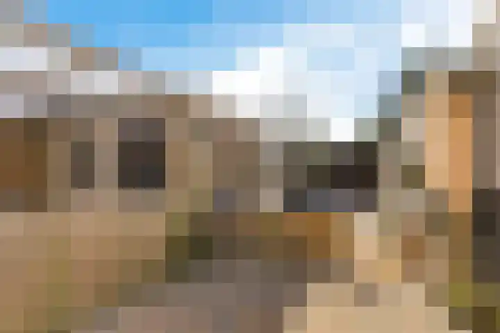 Torensmalaan 20 Roden thumbnail 24