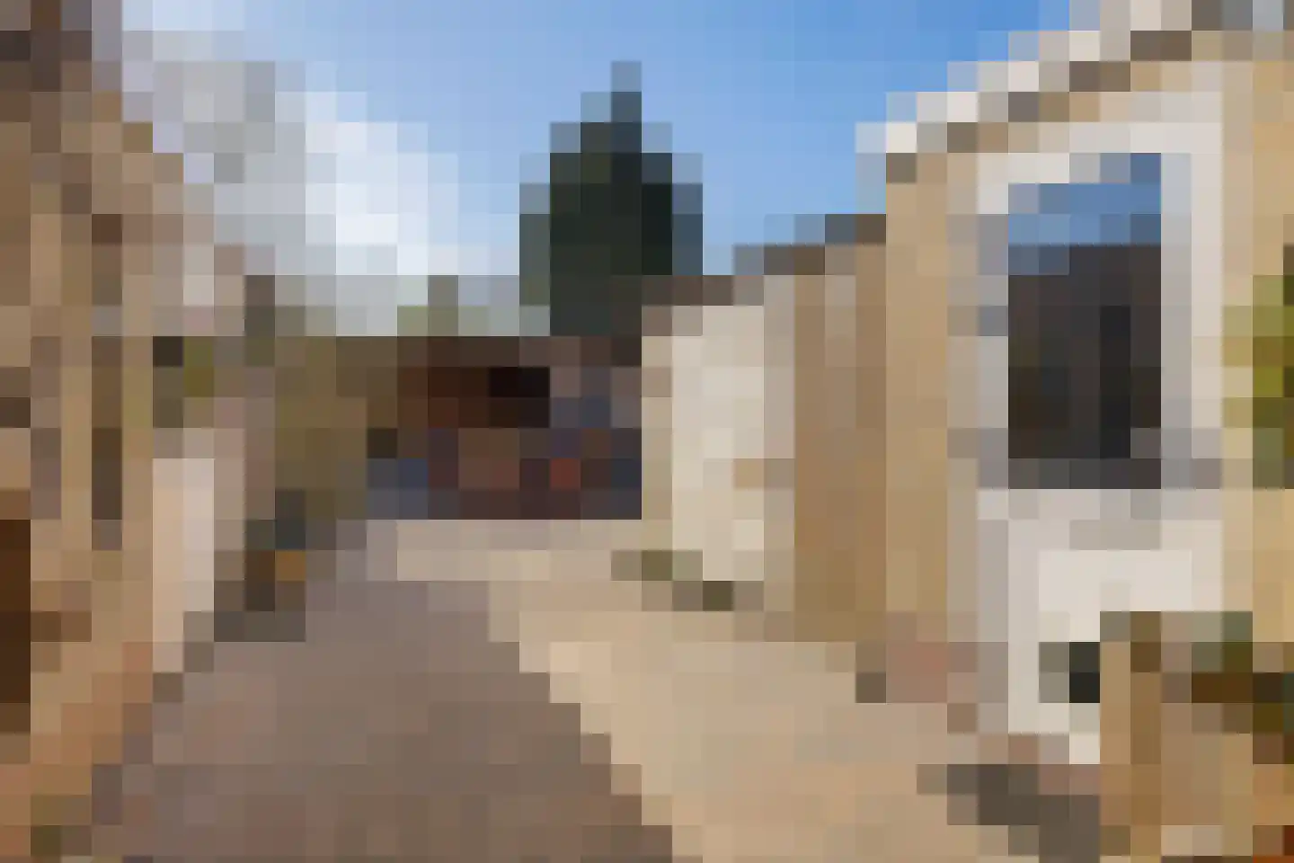 Torensmalaan 20 Roden thumbnail 25