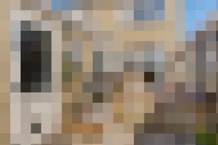 Torensmalaan 20 Roden thumbnail 25