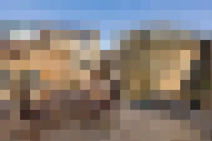 Torensmalaan 20 Roden thumbnail 28