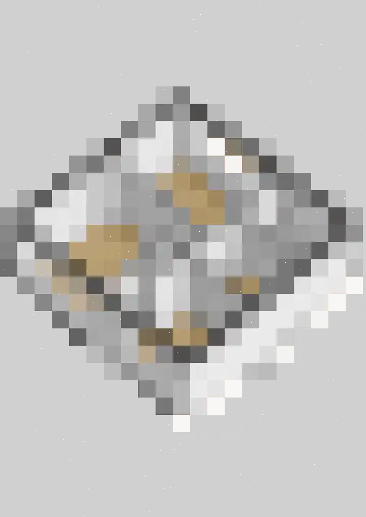 Torensmalaan 20 Roden thumbnail 38