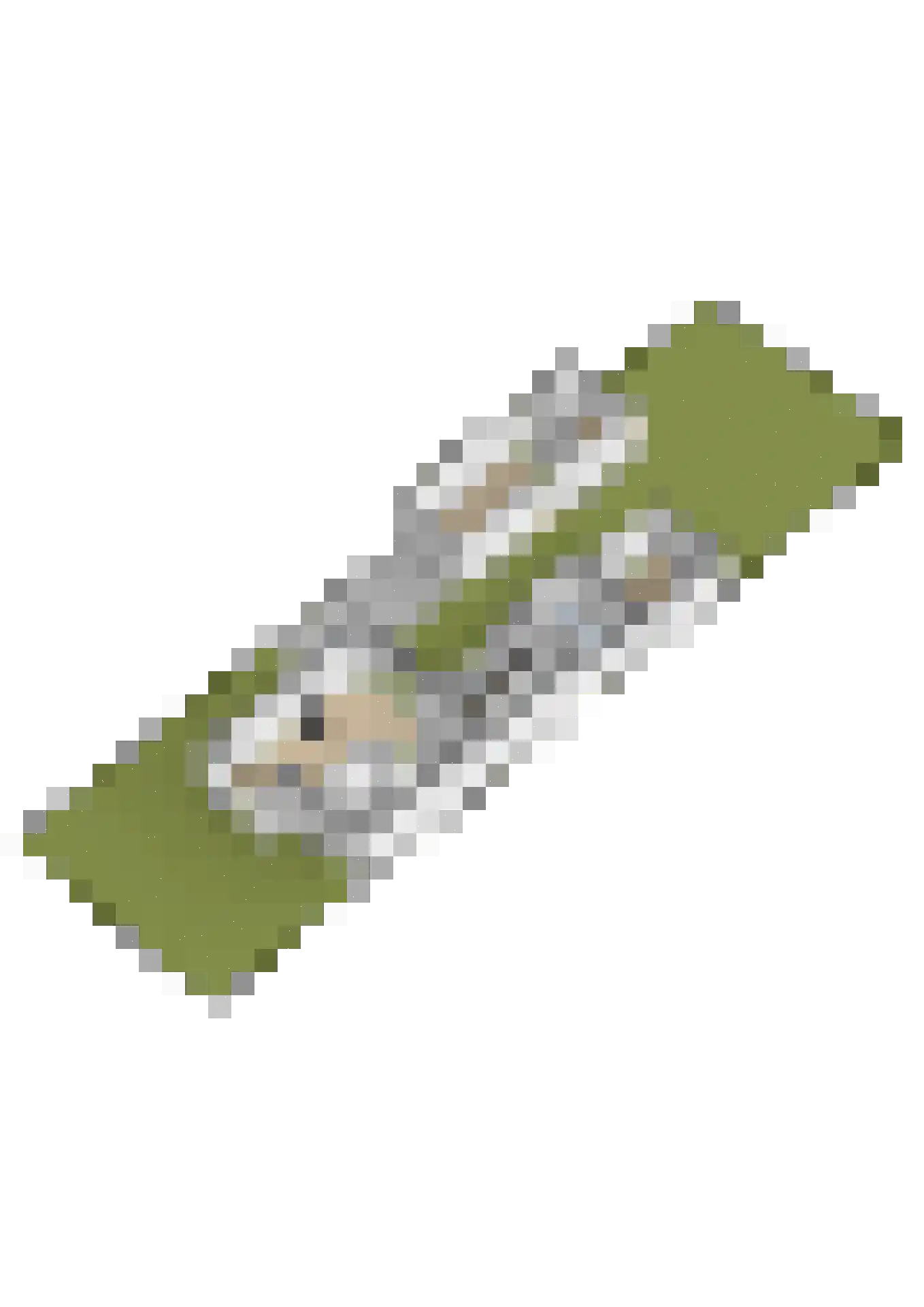 Torensmalaan 20 Roden thumbnail 44