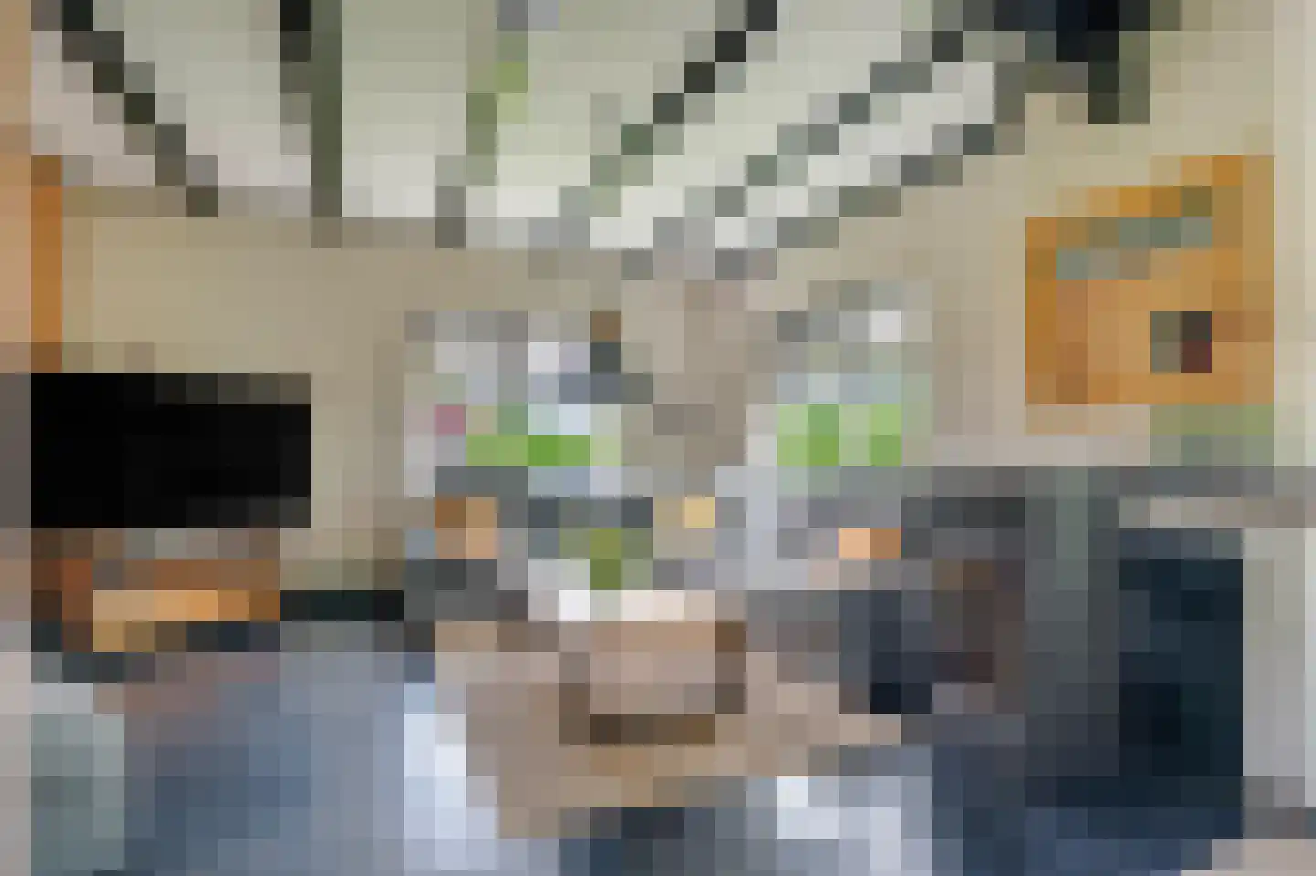 Torensmaweg 7 Feerwerd thumbnail 14