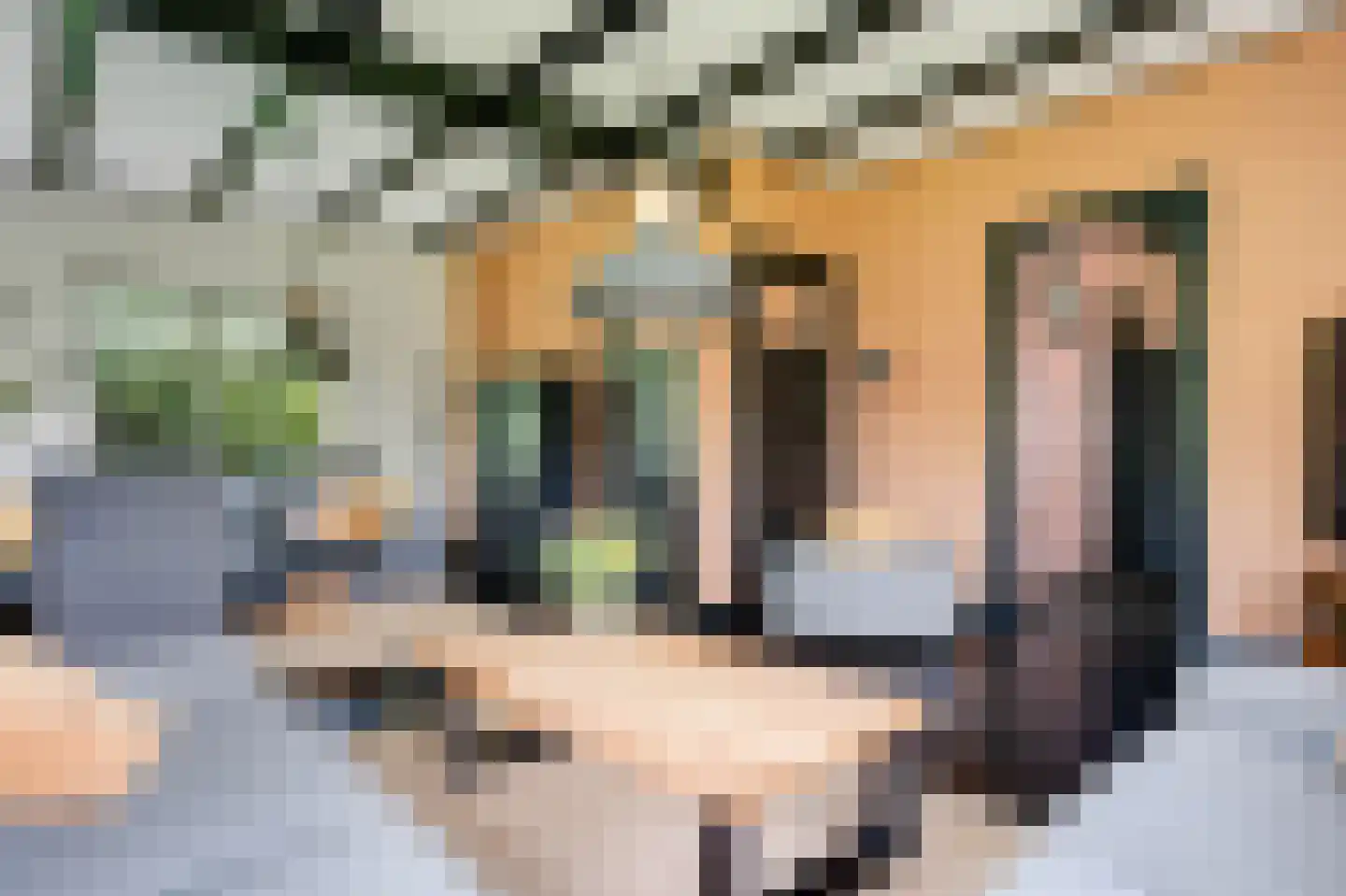 Torensmaweg 7 Feerwerd thumbnail 19