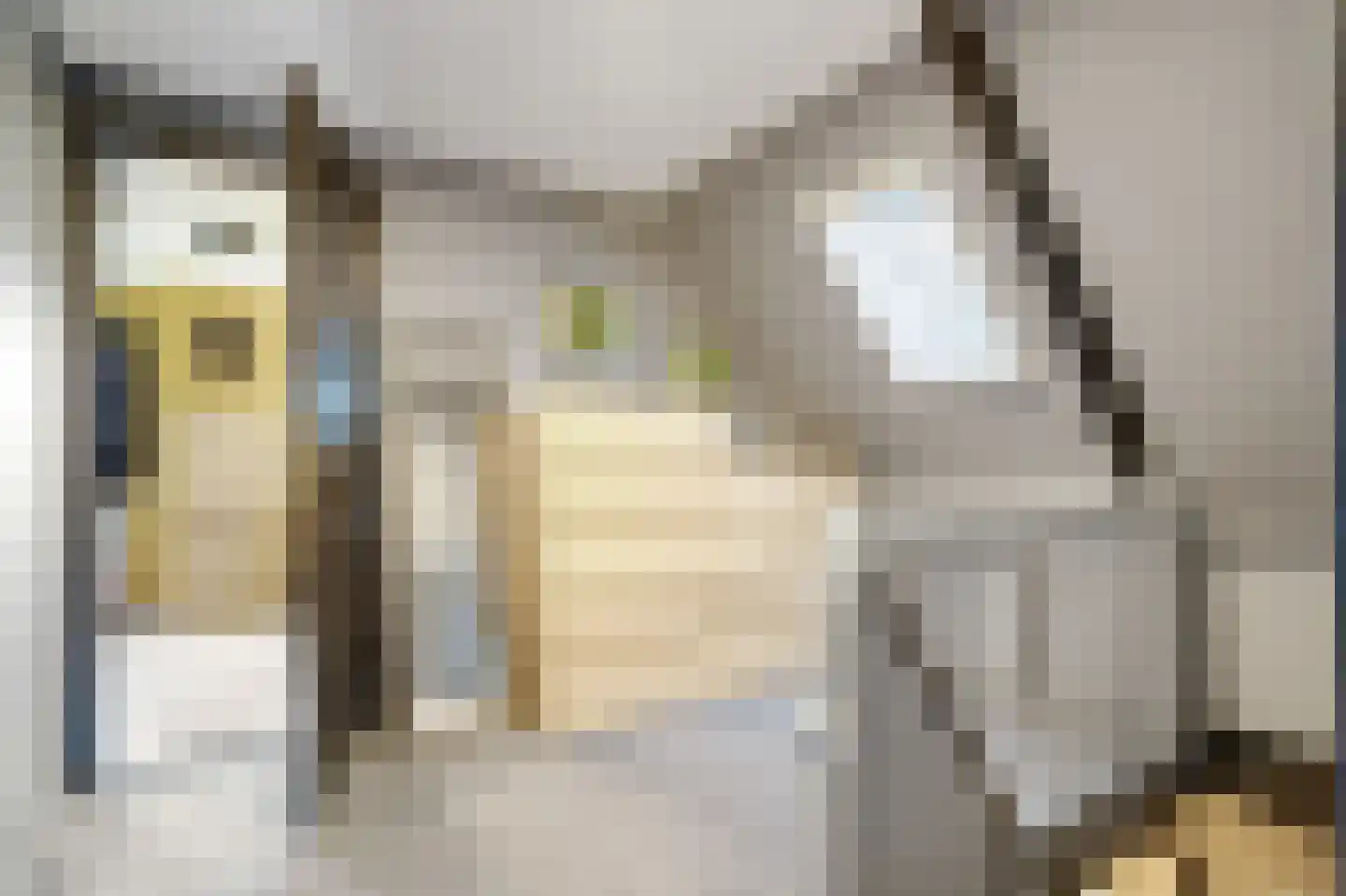 Torensmaweg 7 Feerwerd thumbnail 30