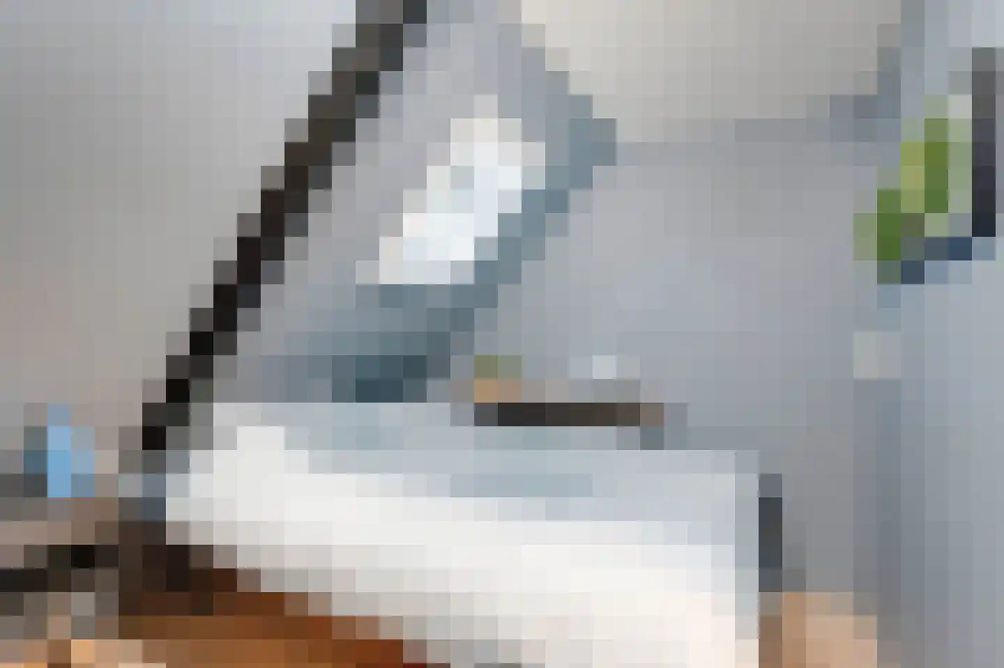 Torensmaweg 7 Feerwerd thumbnail 34